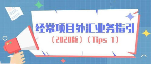 經(jīng)營(yíng)個(gè)人本外幣兌換特許業(yè)務(wù)指南 合規(guī)操作與市場(chǎng)機(jī)遇